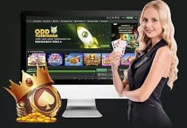 7k bet7k